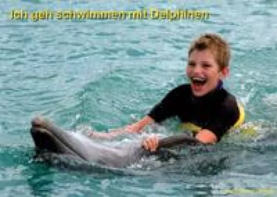 Bild: Nico geht schwimmen mit Delphinen