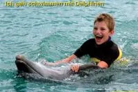 Nico geht schwimmen mit Delphinen Bild: Nico geht schwimmen mit Delphinen