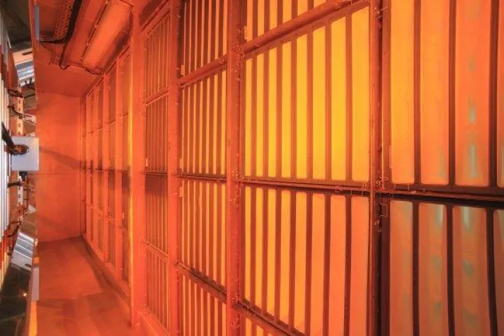 Bild: Mit Infrarot-Wärme dem Winter trotzen