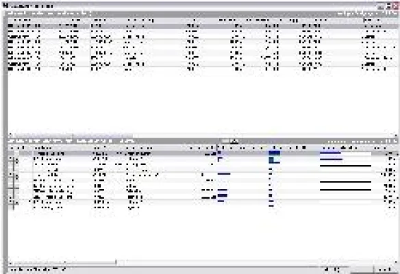Bild: Übersichtliche Feinplanung mit grafischer Kapazitätsanzeige im PPS-System zur Produktionsplanung