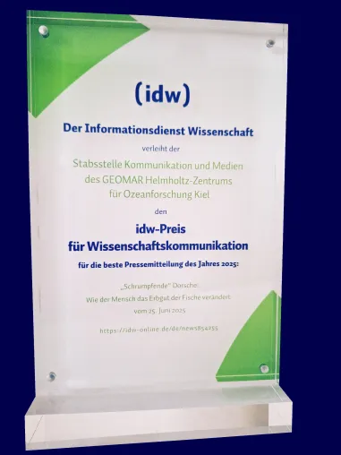 Bild: idw-Preis zeichnet Texte über schrumpfende Dorsche, KI-Wahlhilfen und Willkommensklassen aus 