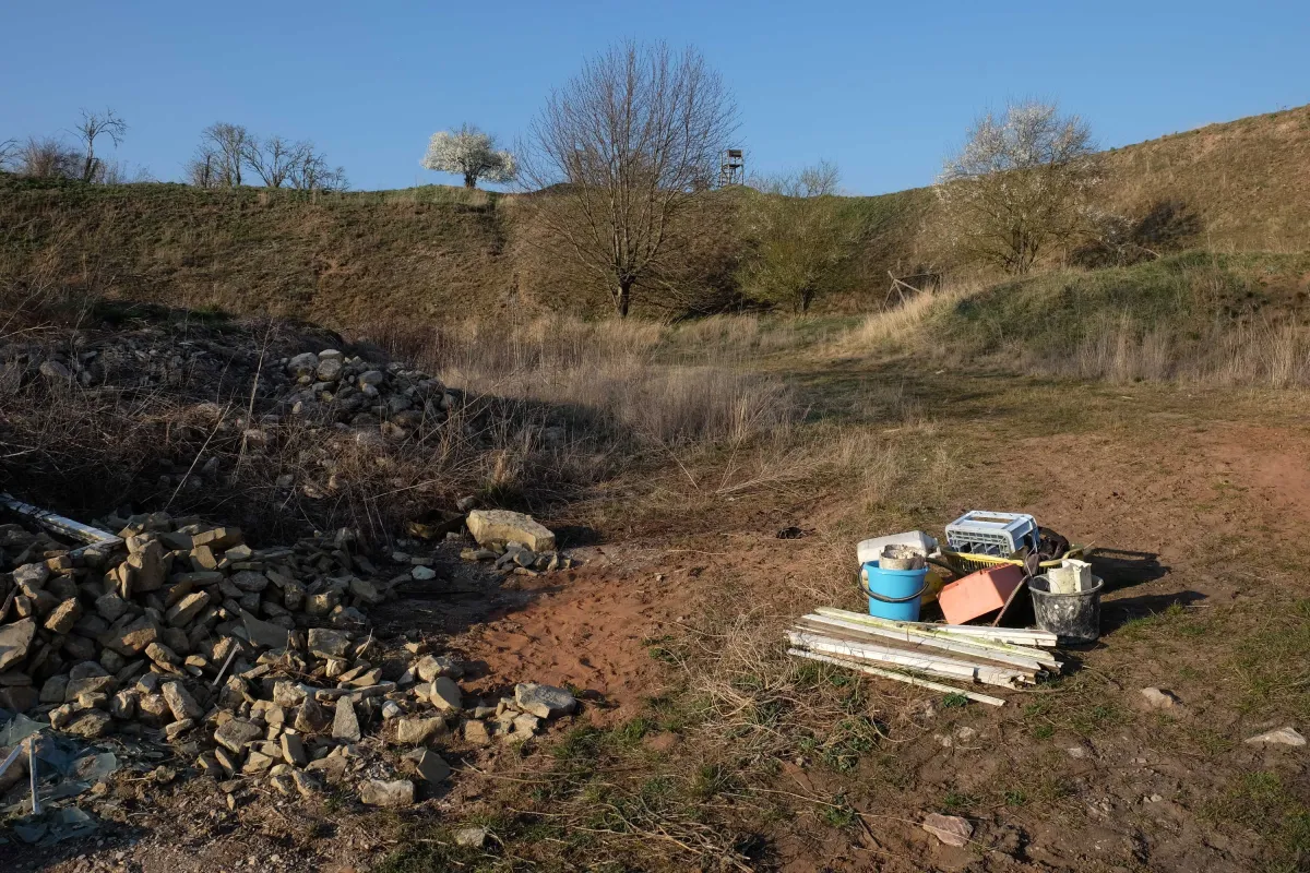 Offener Brief der Wildpflanzen und -tiere der Rabenhütte, Arbeitsprozess01, Künstlerin: Anne Baumann (© Anne Baumann)