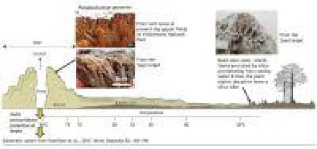 Bild: Aurania Resources entdeckt sechstes hochgradiges epithermales Zielgebiet und gibt Finanzierung bekannt