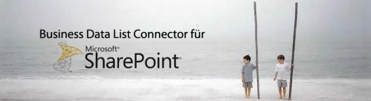 Bild: SharePoint 2010 Erweiterung für Wissensmanagement und Social Networking mit externen Datenquellen
