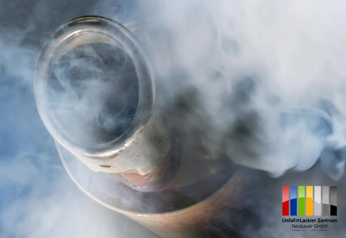 Immer wieder Diesel  fotolia©Rainer Fuhrmann