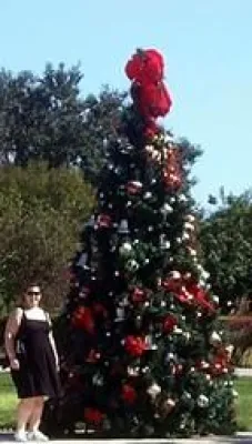 Weihnachten auf den Florida Keys Bild: Weihnachten auf den Florida Keys