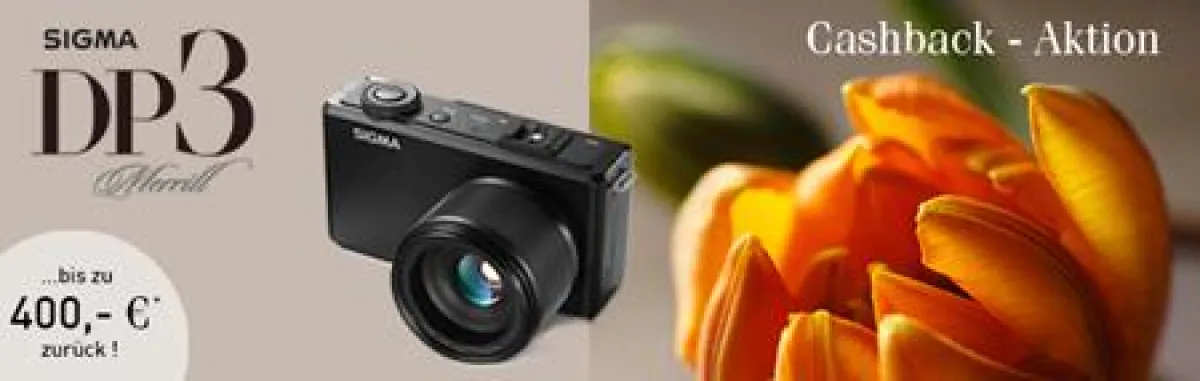 (FOTO: SIGMA) DP3 Merrill Cashback