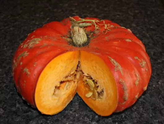 Bild: Herbstzeit ist Kürbiszeit