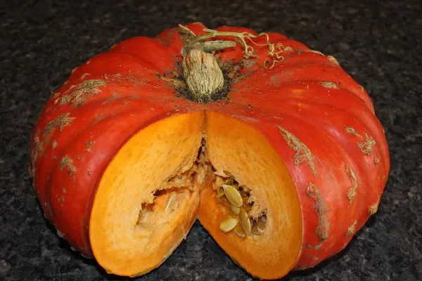 Bild: Herbstzeit ist Kürbiszeit