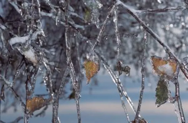 Bild: Traditionen und Bräuche zu Weihnachten im Bayerischen Wald