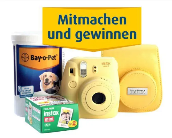 Bild: Aktiv durch den Sommer: Bay-o-Pet® Megaflex startet Fotowettbewerb für Hundehalter