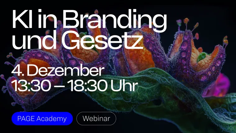 Bild: Peter Schmidt Group gibt zweites KI-Webinar bei der PAGE Academy