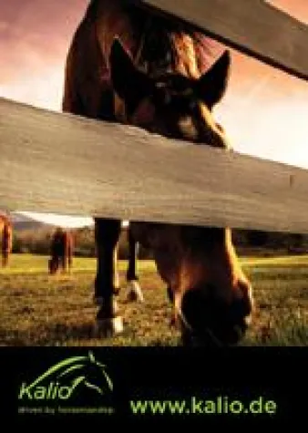 Bild: Kalio.de - Neues Business-Netzwerk für Reiter und Pferde-Branche