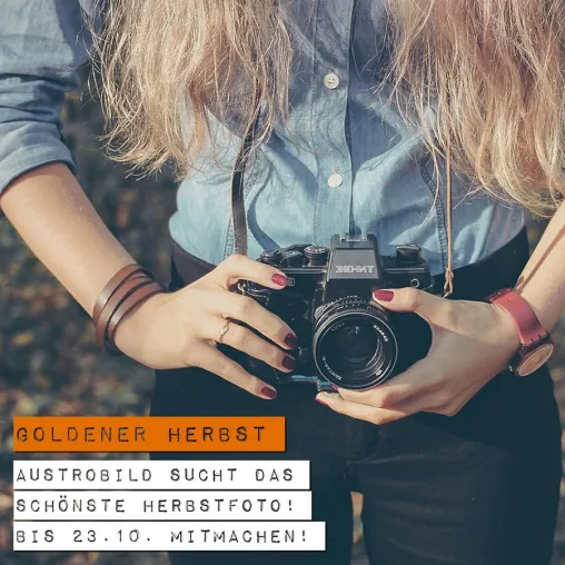 Fotowettbewerb 'Goldender Herbst' Bild: Fotowettbewerb 'Goldender Herbst'