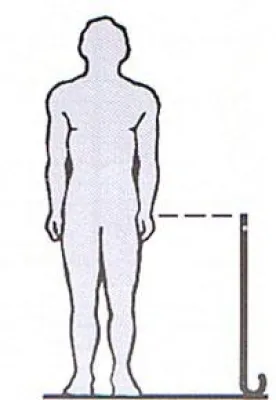 Bild: Der Gehstock - Richtig eingestellt