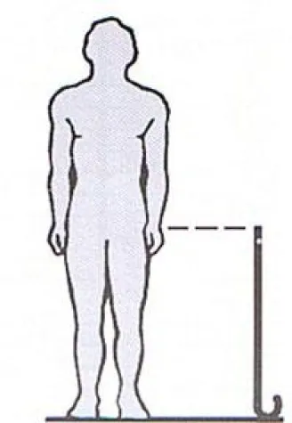 Bild: Der Gehstock - Richtig eingestellt