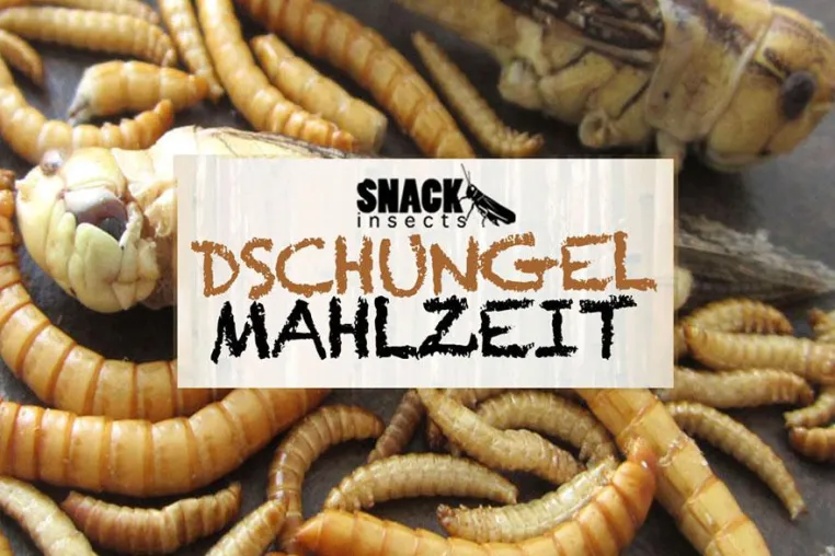 Bild: DSCHUNGELMAHLZEIT - Das Überlebenstraining im Taschenformat