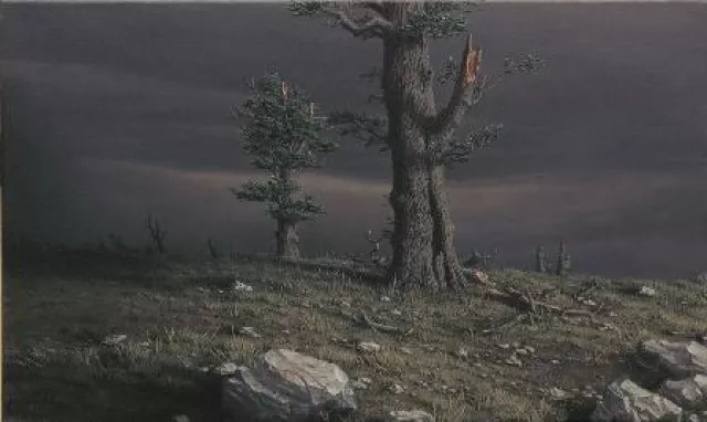 Künstler der Galerie Bild: Künstler der Galerie