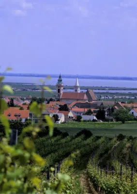 Bild: Größte Sortenvielfalt in schönster Landschaft - Weinreisen im Burgenland