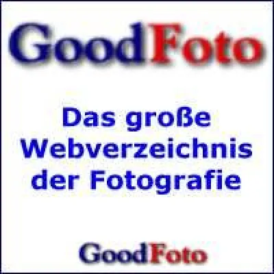 Bild: Ordnung im Internet