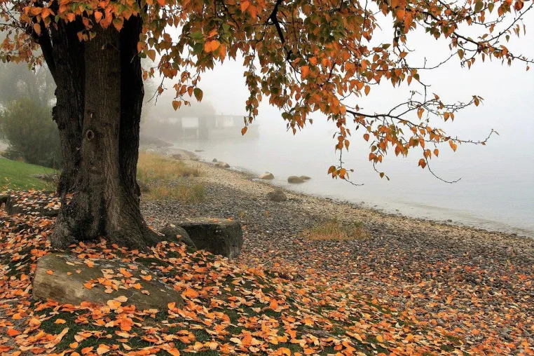 Bild: So bestehen Sie Corona- und Herbst-Blues