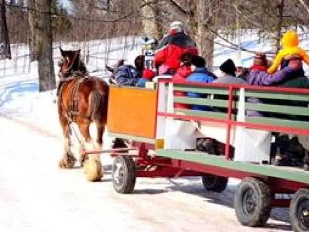 Bild: In Massachusetts New England Ahornsirup testen