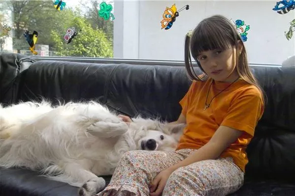 Hundehaftpflichtversicherung - Wenn „Bello“ trotz aller Vorsicht einmal zuschnappt Bild: Hundehaftpflichtversicherung - Wenn „Bello“ trotz aller Vorsicht einmal zuschnappt