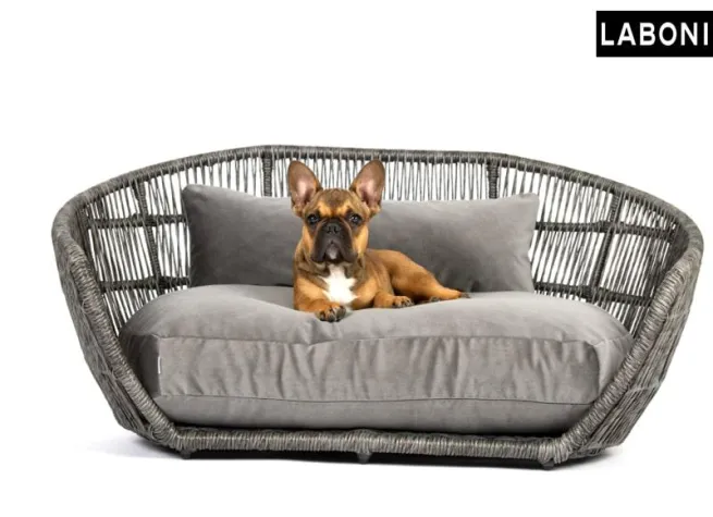 Bild: Der Hund mittendrin – LABONI lässt Vierbeiner am Geschehen teilhaben