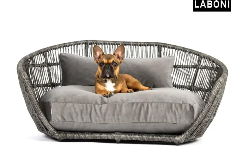 Der Hund mittendrin – LABONI lässt Vierbeiner am Geschehen teilhaben Bild: Der Hund mittendrin – LABONI lässt Vierbeiner am Geschehen teilhaben