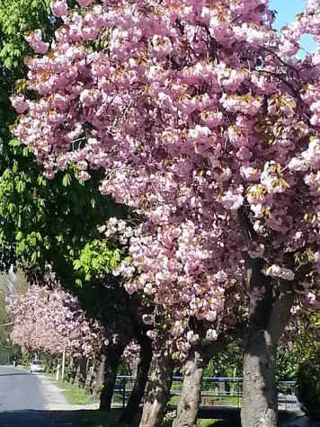 Das Klima planen: Sonnenschutz und Energienutzung Bild: Das Klima planen: Sonnenschutz und Energienutzung
