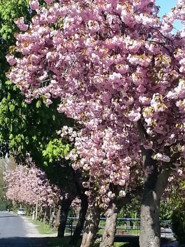 Bild: Das Klima planen: Sonnenschutz und Energienutzung
