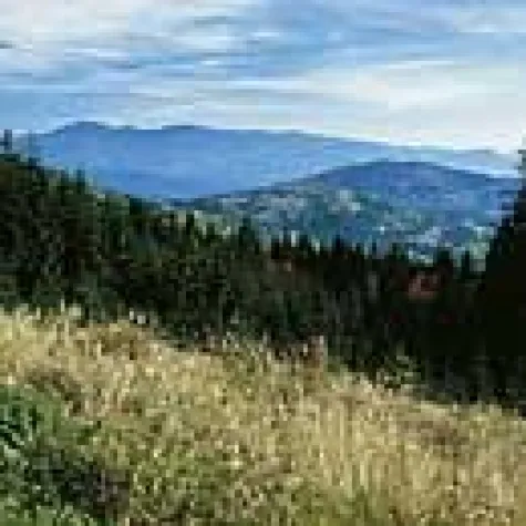 Bild: Urlaub im Oberpfälzer Wald zwischen Naabtal und Böhmerwald