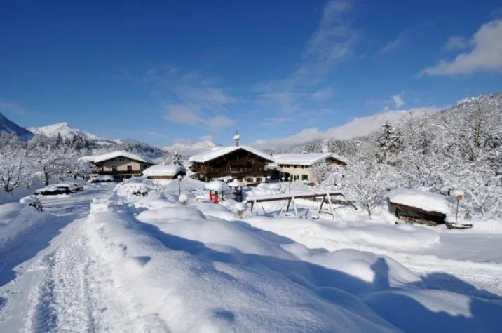 Bild: Ein Portrait: Der Ferienbauernhof Bodenhof Fieberbrunn stellt sich vor