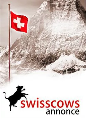 Bild: Google AdWords können jetzt kinderleicht in Annonce importiert werden