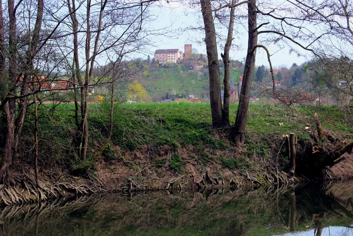 Das verwunschene Tauberufer mit Dorf und Burg Gamburg