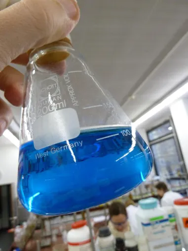 Bild: Neues Hochtemperaturenzym für organische Synthesen hergestellt