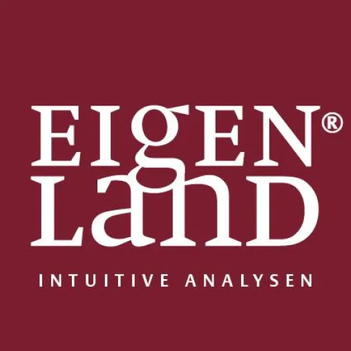 Bild: Intuitive Analysen für Unternehmen: Eigenland-Beratungskonzept wird international