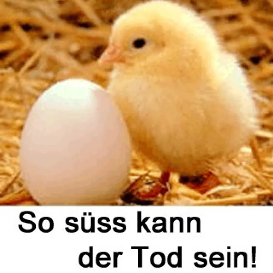 So süß kann der Tod sein!