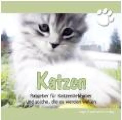 Katzen stehen auf Musik Bild: Katzen stehen auf Musik
