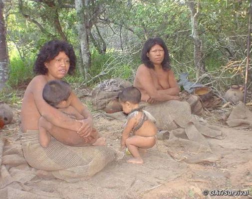 Bild: Informationen zurückgehalten: Viehzüchter müssen hohe Geldstrafe zahlen