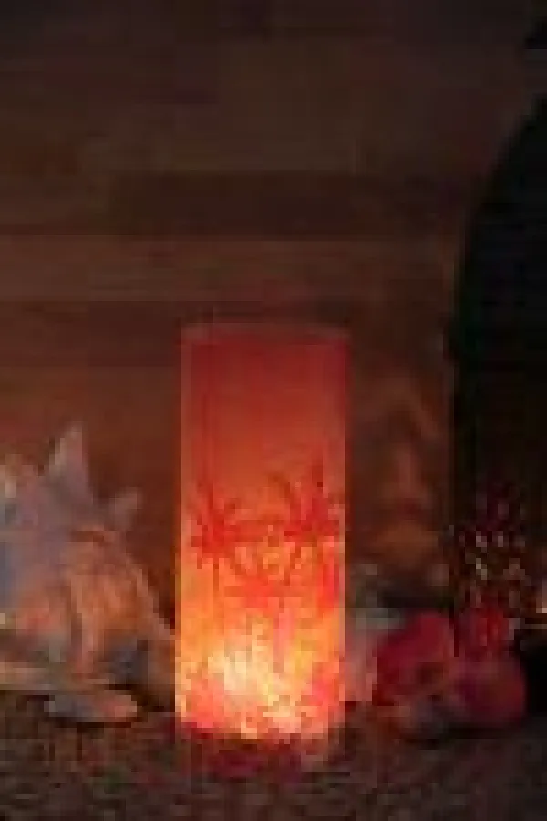 Deko indische Hochzeit von www.aktionslicht.de