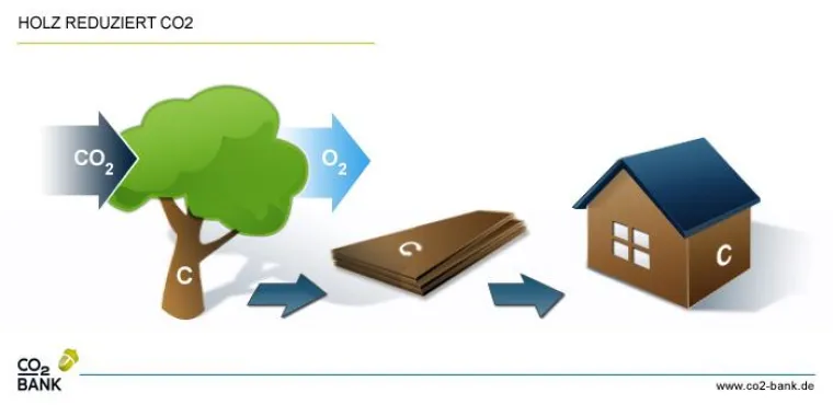 Bild: Ausstellung KLIMA HOLZ MENSCH