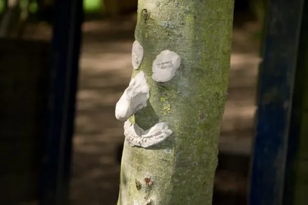 Erlebnispädagogik und Outdoor-Training Bild: Erlebnispädagogik und Outdoor-Training