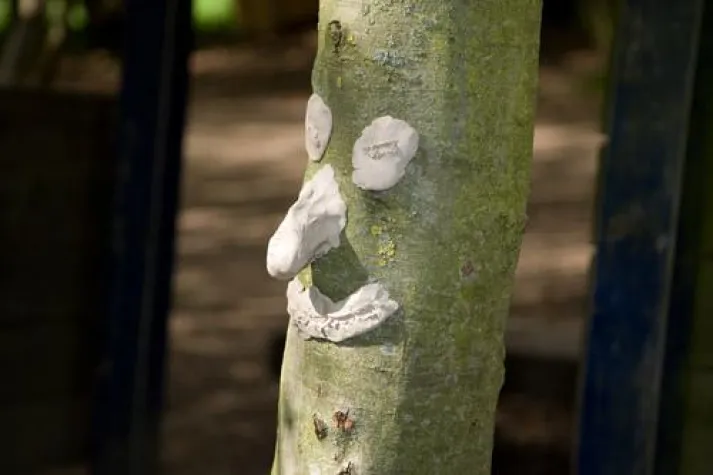 Bild: Erlebnispädagogik und Outdoor-Training