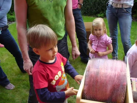 Bild: Europas höchstgelegene Hochheide liegt im Sauerland: Hochheide-Themenwochen im Familotel Sonnenpark