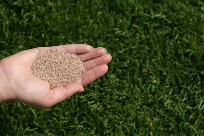 So bringt man seinen Rasen gut über die kalte Jahreszeit Bild: So bringt man seinen Rasen gut über die kalte Jahreszeit