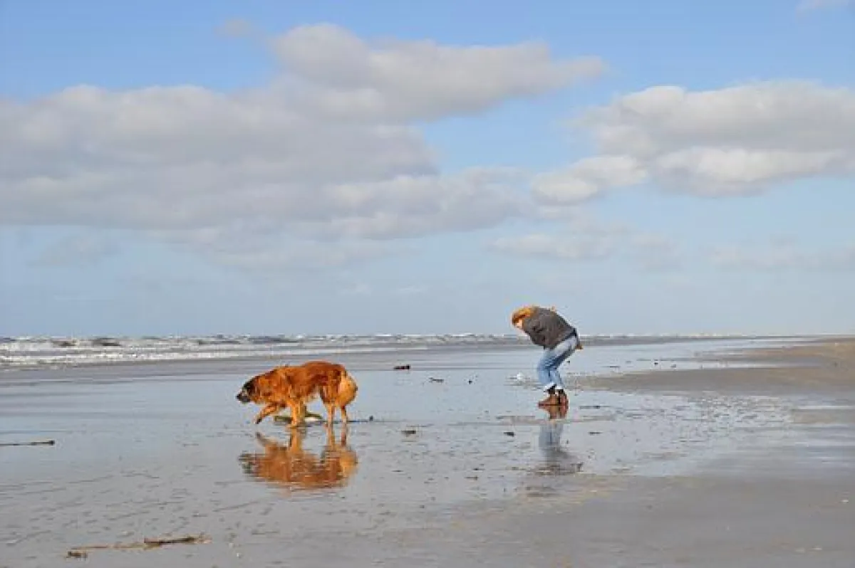 Die weiten Nordseestrände Dänemarks hat man in der Nebensaison oft für sich allein.