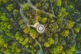 Bild: Trillion Trees das Spiel für Gamer, Spiele-Entwickler und Games-Publisher für Klimaschutz und Umweltschutz