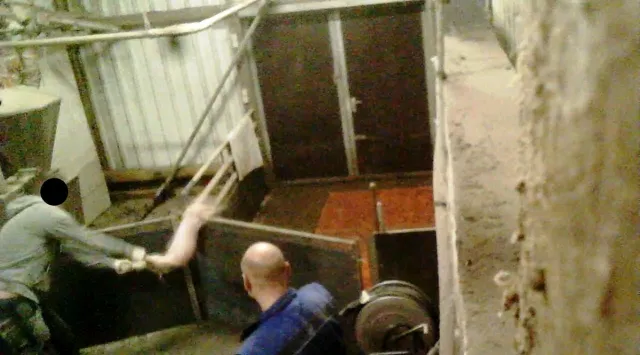 Bild: Erneut unglaubliche Tierquälerei in niedersächsischer Schweinemast aufgedeckt 