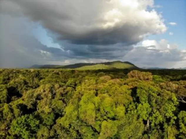 Bild: Bequemer ins Naturparadies